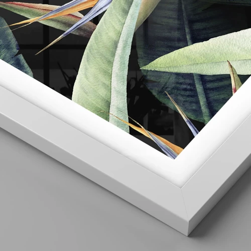 Póster en marco blanco - Flores de llamas de los trópicos - 50x50 cm