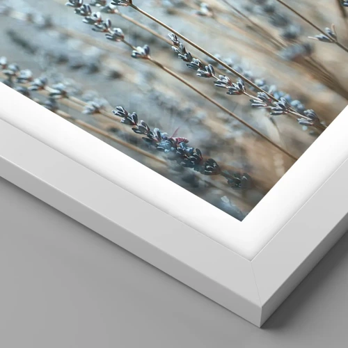 Póster en marco blanco - Fragante pasto - 30x40 cm