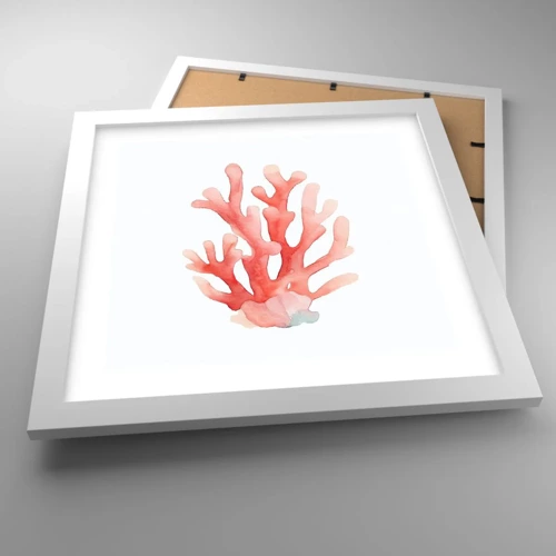Póster en marco blanco - La hermosura del color coral - 30x30 cm