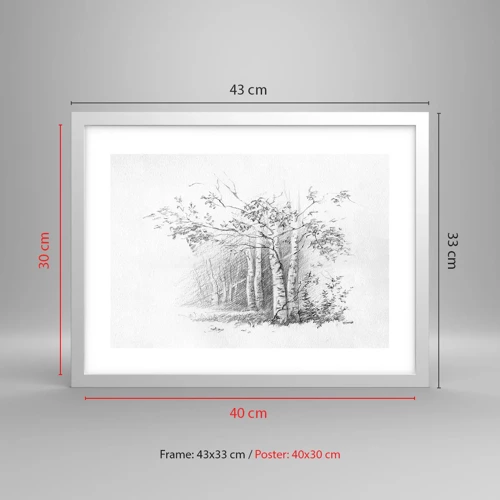 Póster en marco blanco - La luz de un bosque de abedules - 40x30 cm