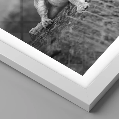 Póster en marco blanco - La siesta real - 50x40 cm
