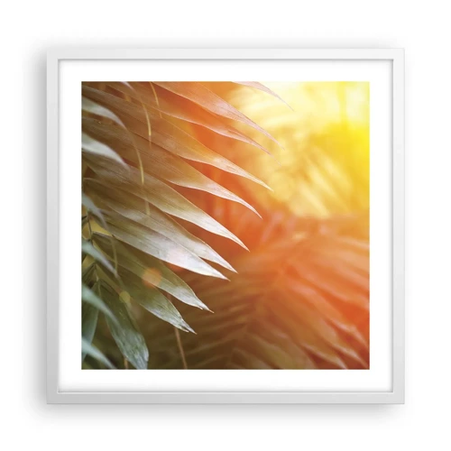 Póster en marco blanco - Mañana en la selva - 50x50 cm