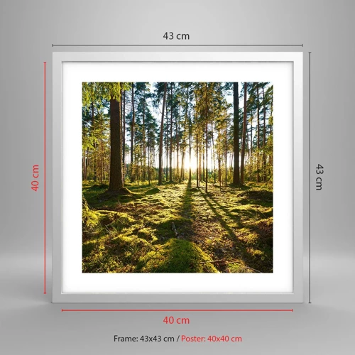 Póster en marco blanco - ...Más allá de los siete bosques - 40x40 cm