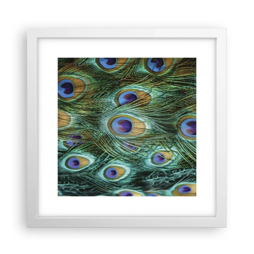 Póster en marco blanco - Mirada de pavo real - 30x30 cm