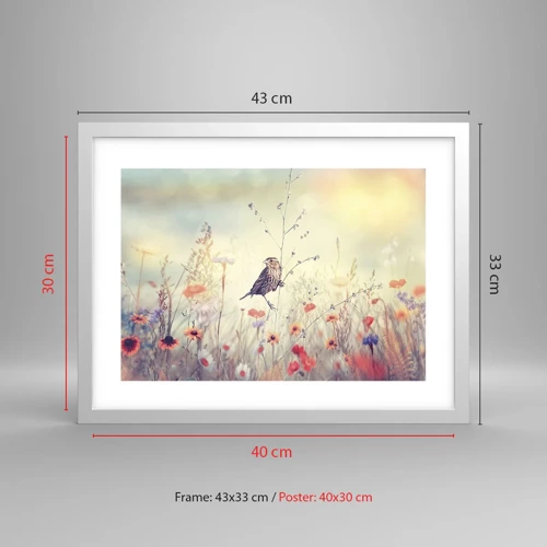 Póster en marco blanco - Retrato de pájaro con prado de fondo - 40x30 cm