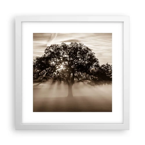 Póster en marco blanco - Un árbol de buenas noticias  - 30x30 cm