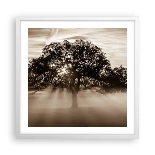 Póster en marco blanco - Un árbol de buenas noticias  - 50x50 cm
