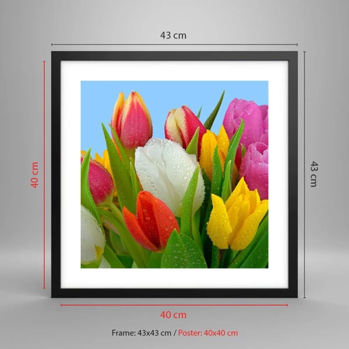 Póster en marco negro - Arco iris floral en gotas de rocío - 40x40 cm