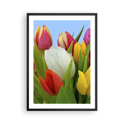 Póster en marco negro - Arco iris floral en gotas de rocío - 50x70 cm