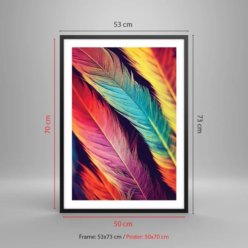 Póster en marco negro - Arco iris plumoso - 50x70 cm