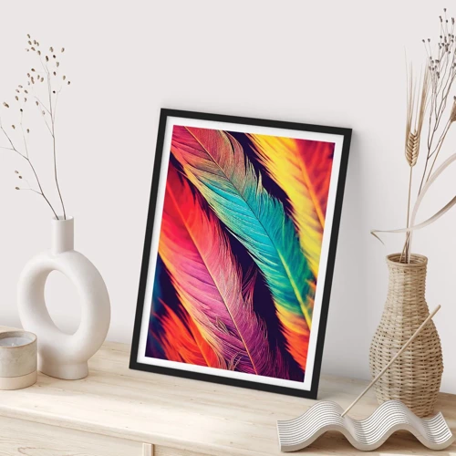 Póster en marco negro - Arco iris plumoso - 50x70 cm