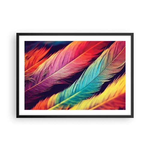 Póster en marco negro - Arco iris plumoso - 70x50 cm