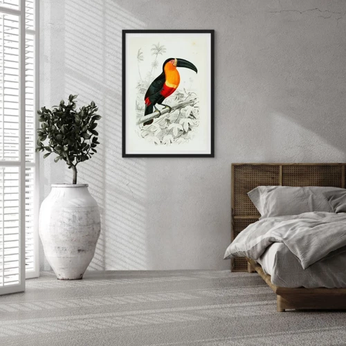 Póster en marco negro - Colores de ave - 50x70 cm