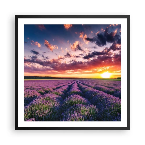 Póster en marco negro - El mundo de la lavanda - 60x60 cm