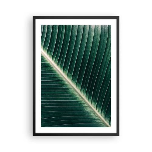 Póster en marco negro - El ritmo de la naturaleza - 50x70 cm