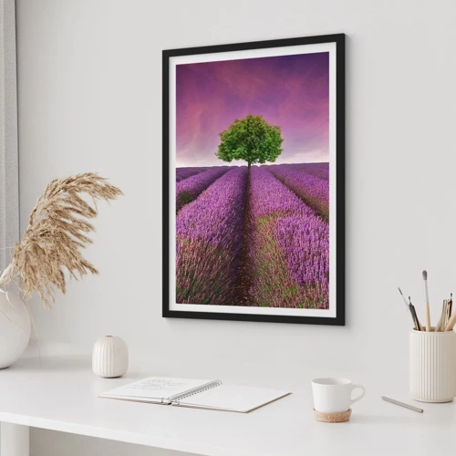 Póster en marco negro - En los campos de lavanda - 50x70 cm