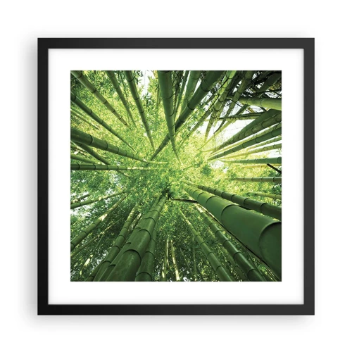 Póster en marco negro - En un bosquecillo de bambú - 40x40 cm