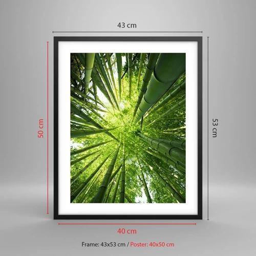 Póster en marco negro - En un bosquecillo de bambú - 40x50 cm