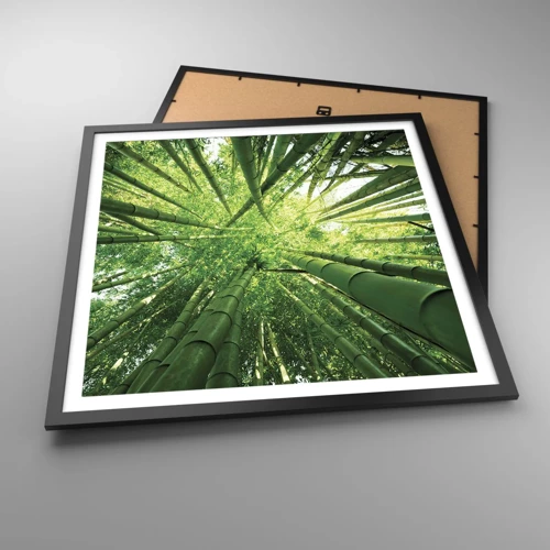 Póster en marco negro - En un bosquecillo de bambú - 60x60 cm