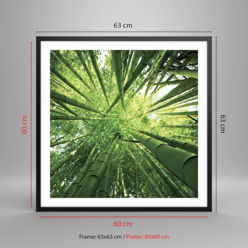 Póster en marco negro - En un bosquecillo de bambú - 60x60 cm