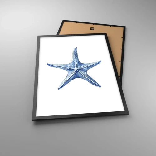 Póster en marco negro - Estrella de mar - 50x70 cm