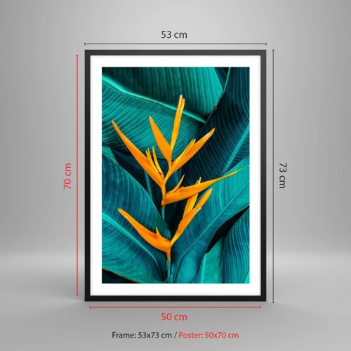 Póster en marco negro - Flor del Edén - 50x70 cm