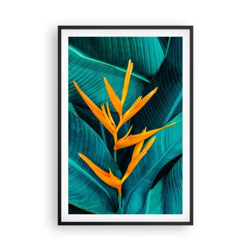 Póster en marco negro - Flor del Edén - 61x91 cm