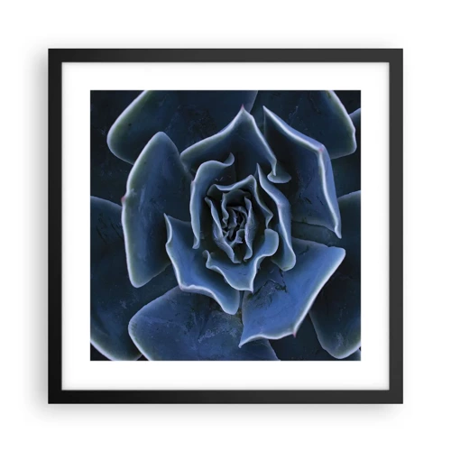 Póster en marco negro - Flor del desierto - 40x40 cm