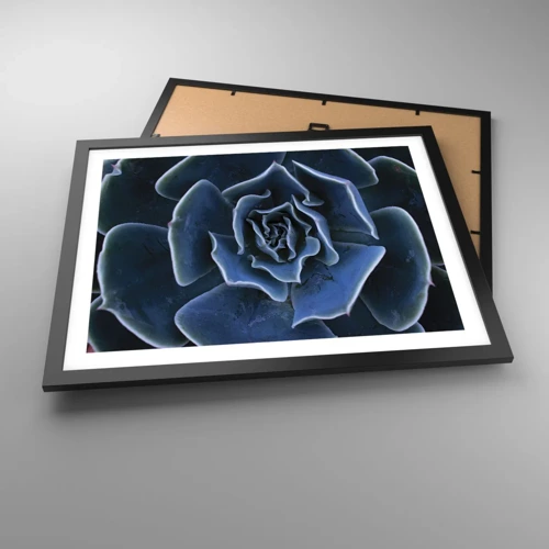 Póster en marco negro - Flor del desierto - 50x40 cm