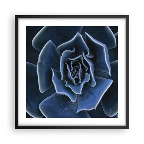 Póster en marco negro - Flor del desierto - 50x50 cm