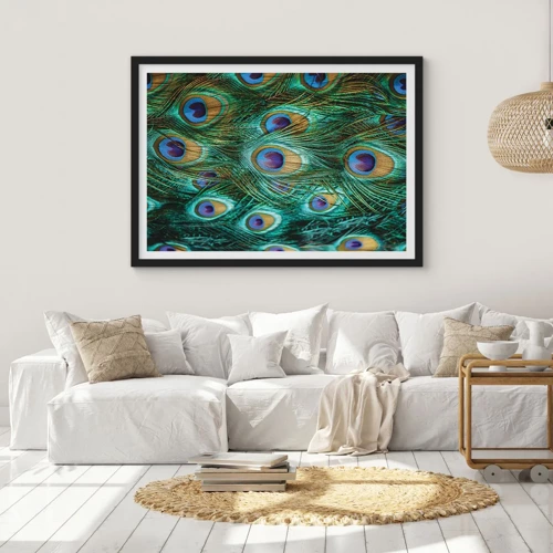 Póster en marco negro - Mirada de pavo real - 100x70 cm