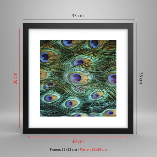 Póster en marco negro - Mirada de pavo real - 30x30 cm