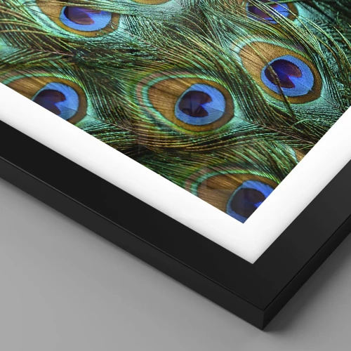 Póster en marco negro - Mirada de pavo real - 40x50 cm