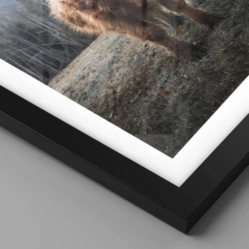 Póster en marco negro - Saludos desde un prado de montaña - 50x70 cm