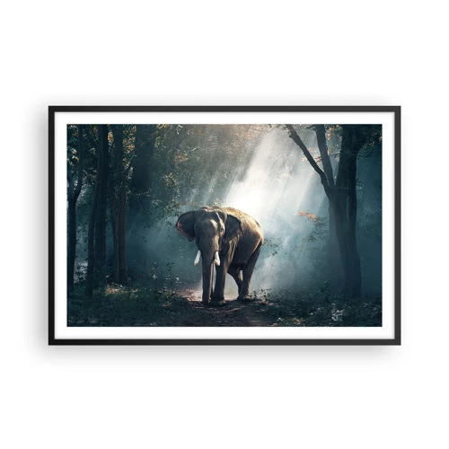 Póster en marco negro - Un paseo tranquilo - 91x61 cm