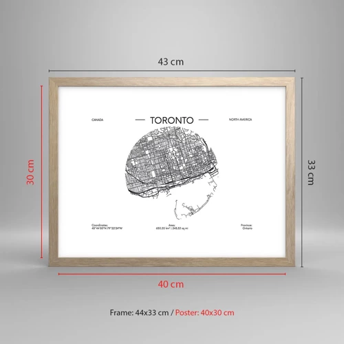 Póster en marco roble claro - Anatomía de Toronto - 40x30 cm