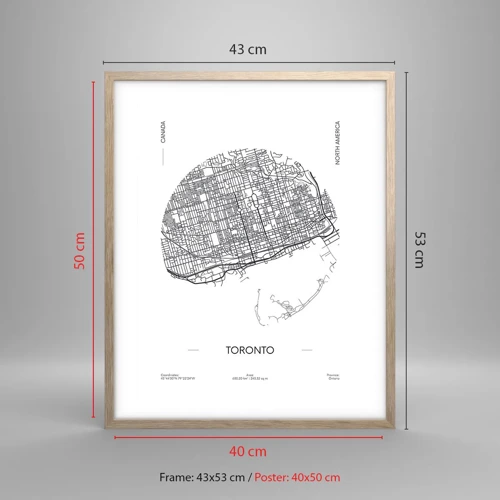 Póster en marco roble claro - Anatomía de Toronto - 40x50 cm