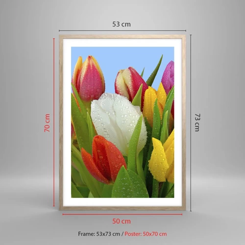 Póster en marco roble claro - Arco iris floral en gotas de rocío - 50x70 cm