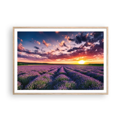 Póster en marco roble claro - El mundo de la lavanda - 100x70 cm