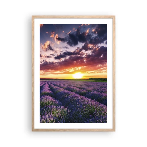 Póster en marco roble claro - El mundo de la lavanda - 50x70 cm