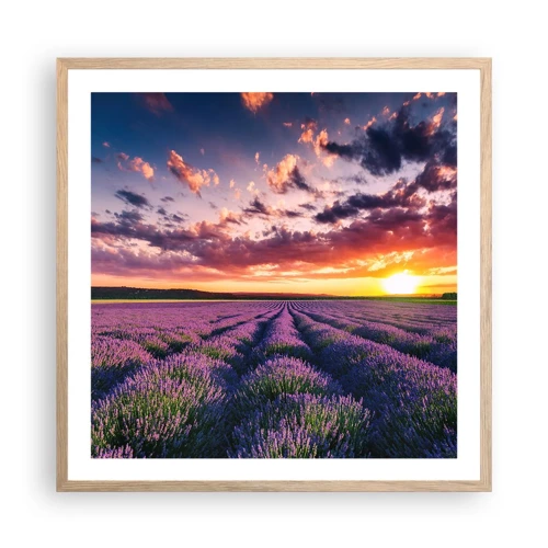 Póster en marco roble claro - El mundo de la lavanda - 60x60 cm