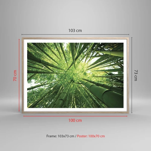 Póster en marco roble claro - En un bosquecillo de bambú - 100x70 cm