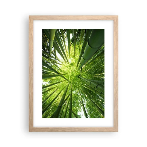 Póster en marco roble claro - En un bosquecillo de bambú - 30x40 cm