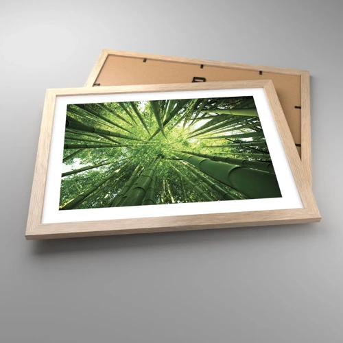Póster en marco roble claro - En un bosquecillo de bambú - 40x30 cm