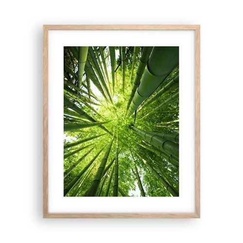 Póster en marco roble claro - En un bosquecillo de bambú - 40x50 cm