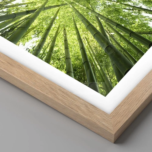 Póster en marco roble claro - En un bosquecillo de bambú - 50x50 cm