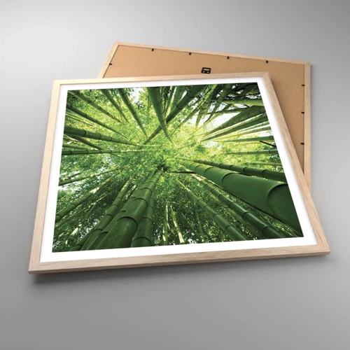 Póster en marco roble claro - En un bosquecillo de bambú - 60x60 cm