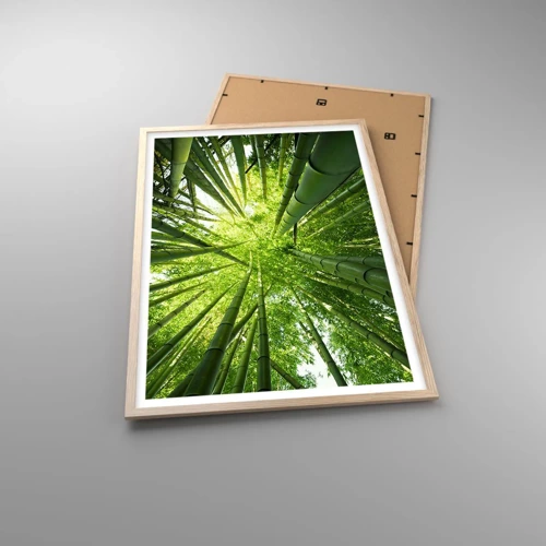 Póster en marco roble claro - En un bosquecillo de bambú - 61x91 cm