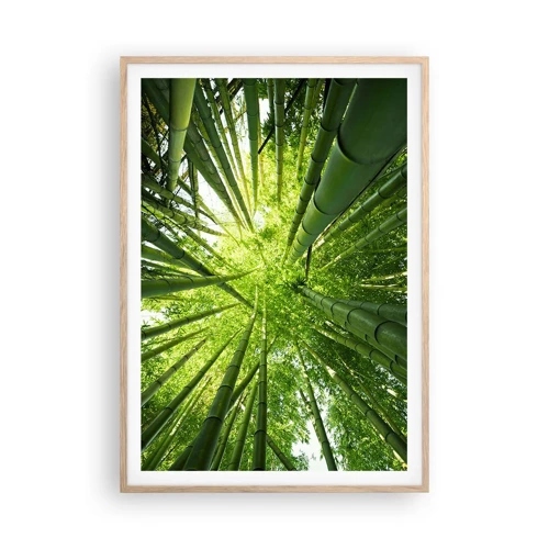 Póster en marco roble claro - En un bosquecillo de bambú - 70x100 cm