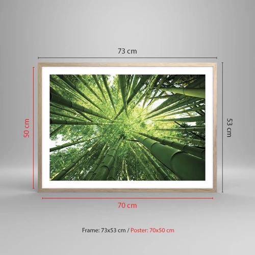 Póster en marco roble claro - En un bosquecillo de bambú - 70x50 cm